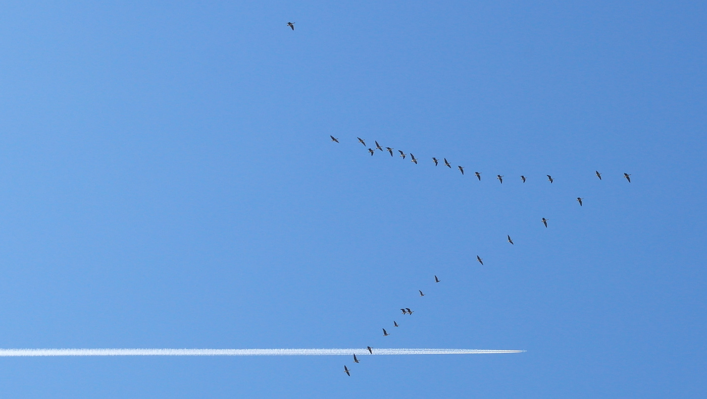 Держим курс...