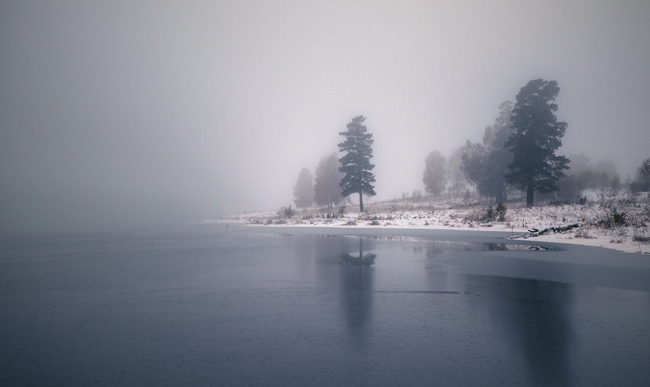 В тишине осеннего тумана.