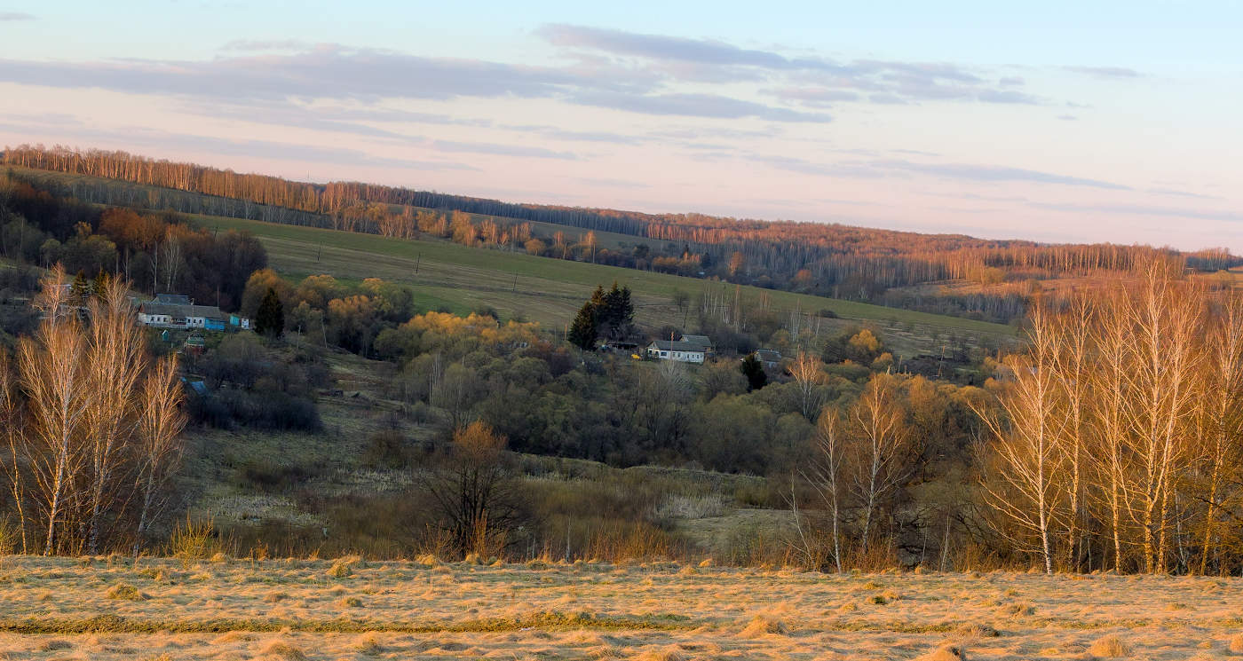 Весна идет — весне дорогу!