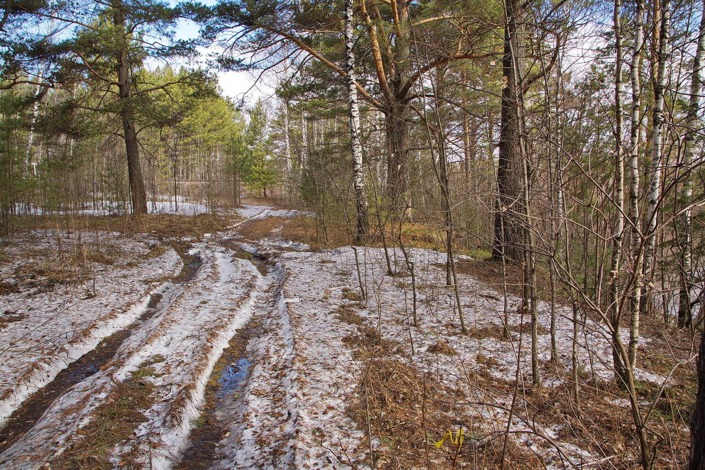 *ВЕСНА ИДЕТ-ВЕСНЕ ДОРОГУ!**