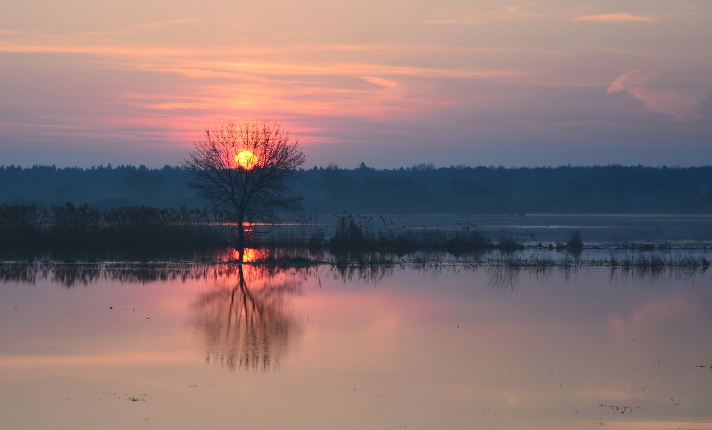 Весна идет — весне дорогу!