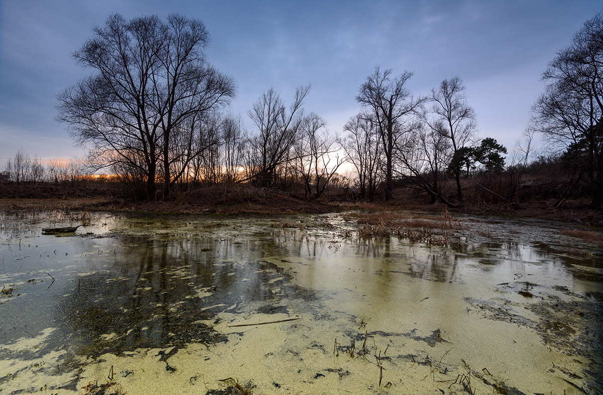 Старый пруд...