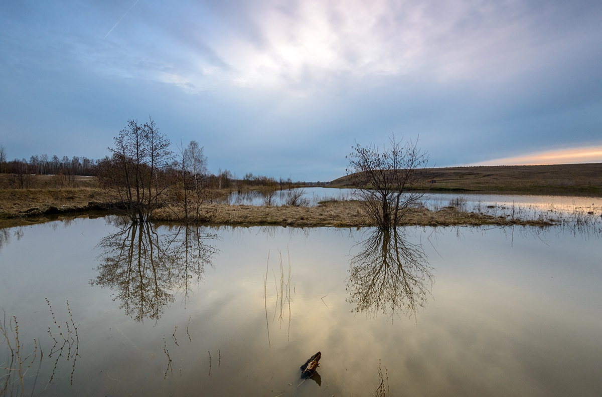 Весна идет — весне дорогу!