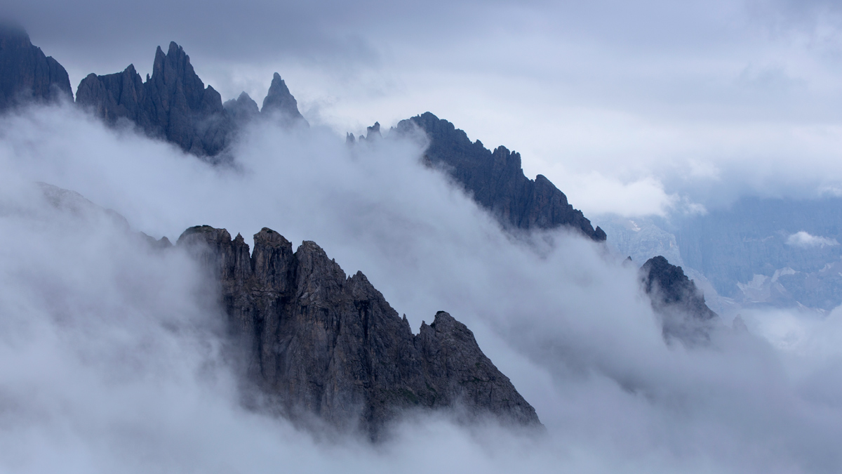 Выплывают из тумана