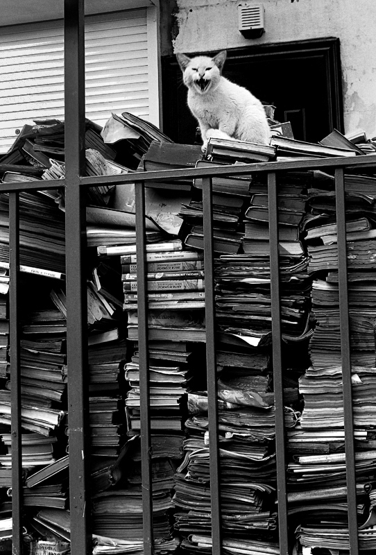 Тишина должна быть в библиотеке!...