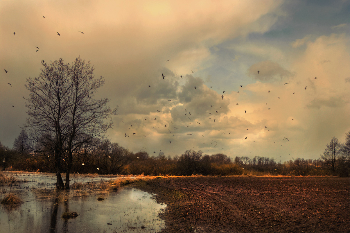 Весна идет — весне дорогу!