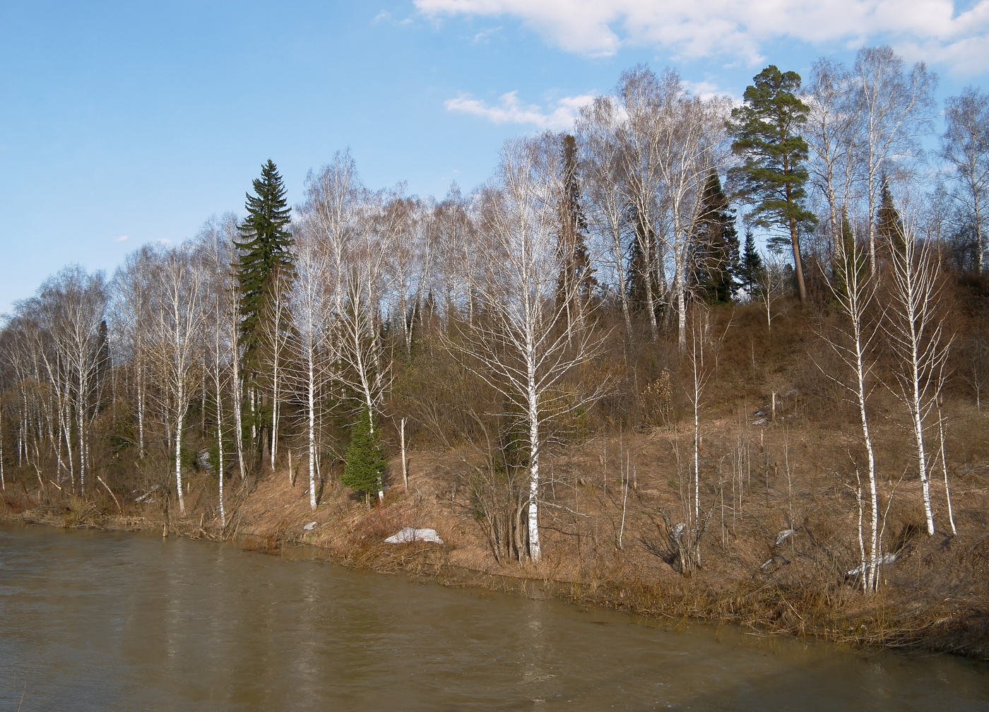 Весна идет — весне дорогу!