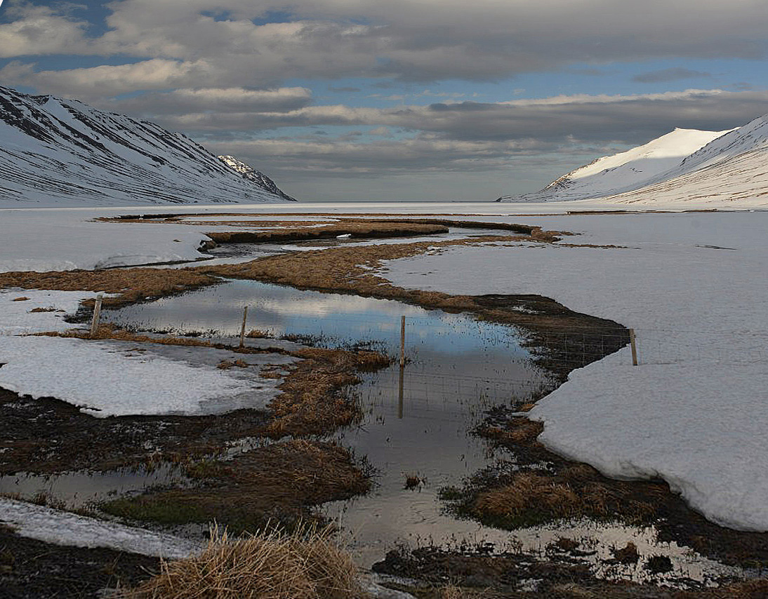 Весна идет — весне дорогу!