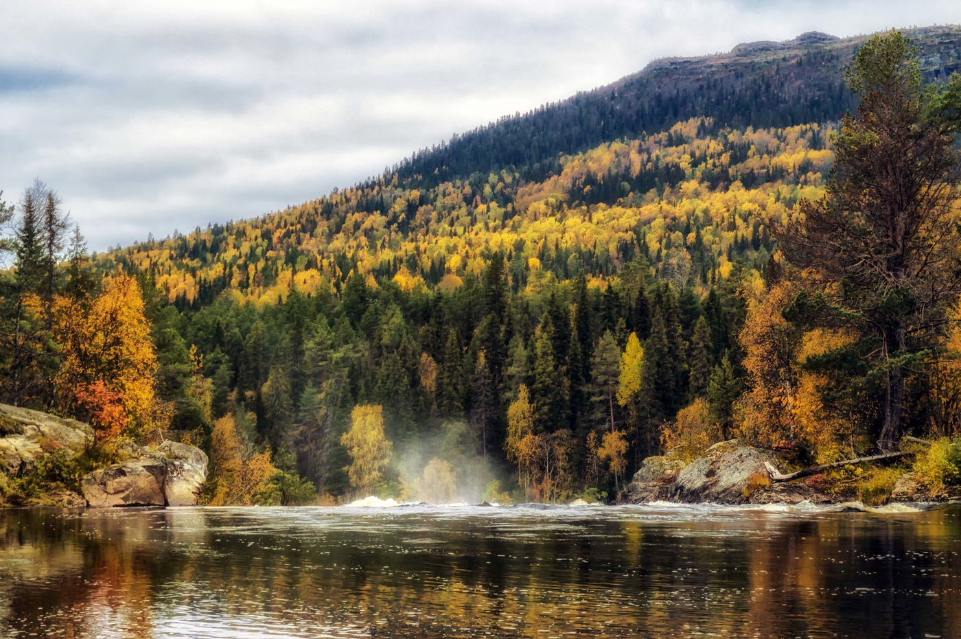 Цветы осени.