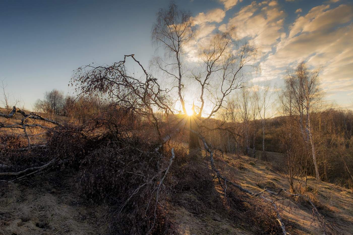 Чрез тернии...