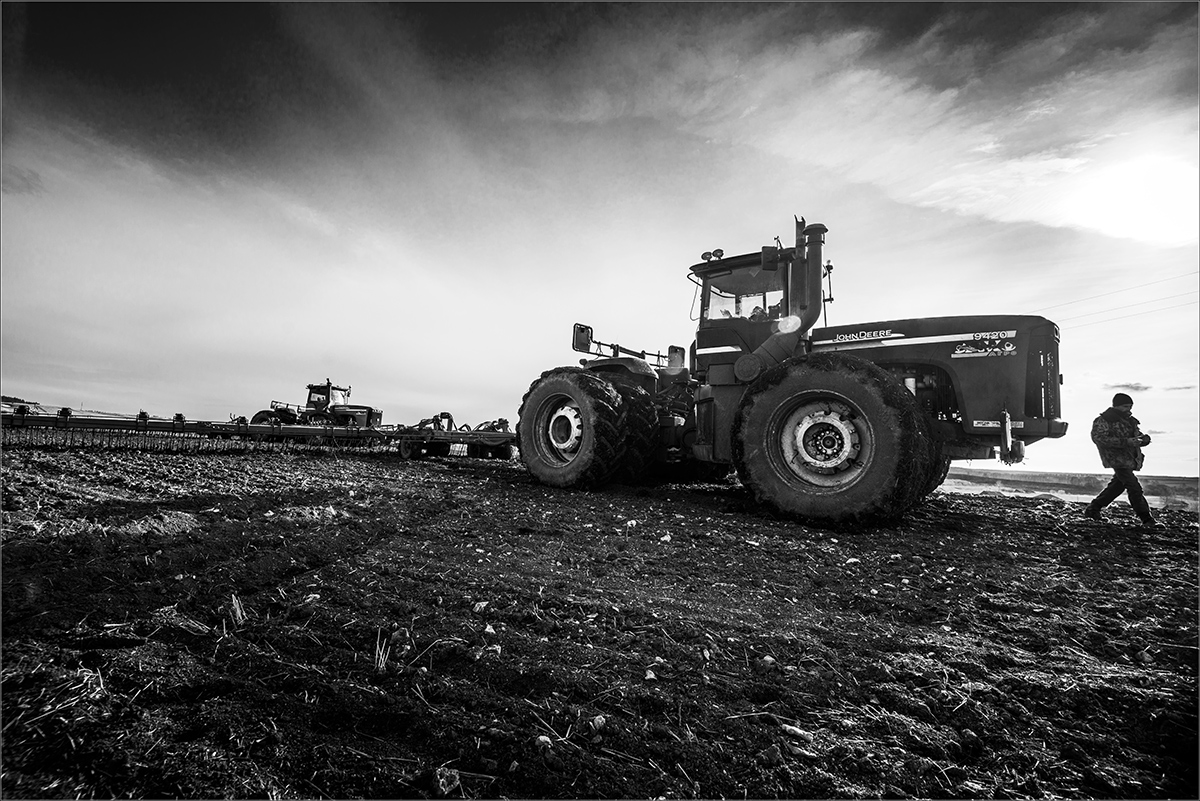 Время сеять...