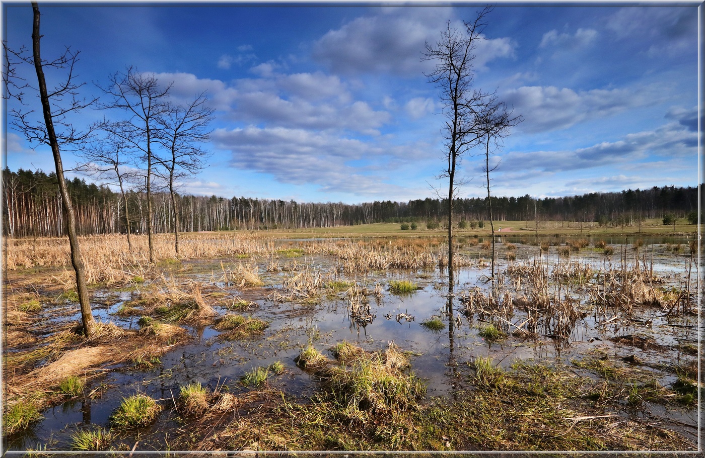 Весна пришла