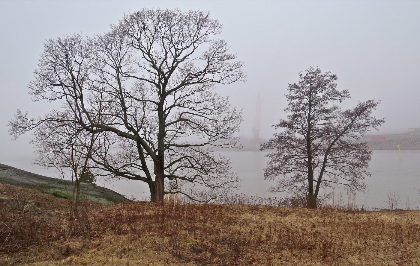 Туманным вешним днём