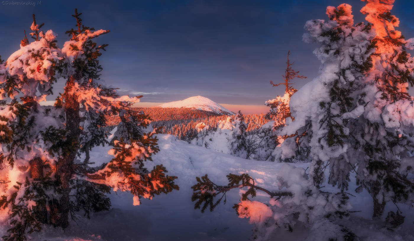 Круглица в вечернем свете 2