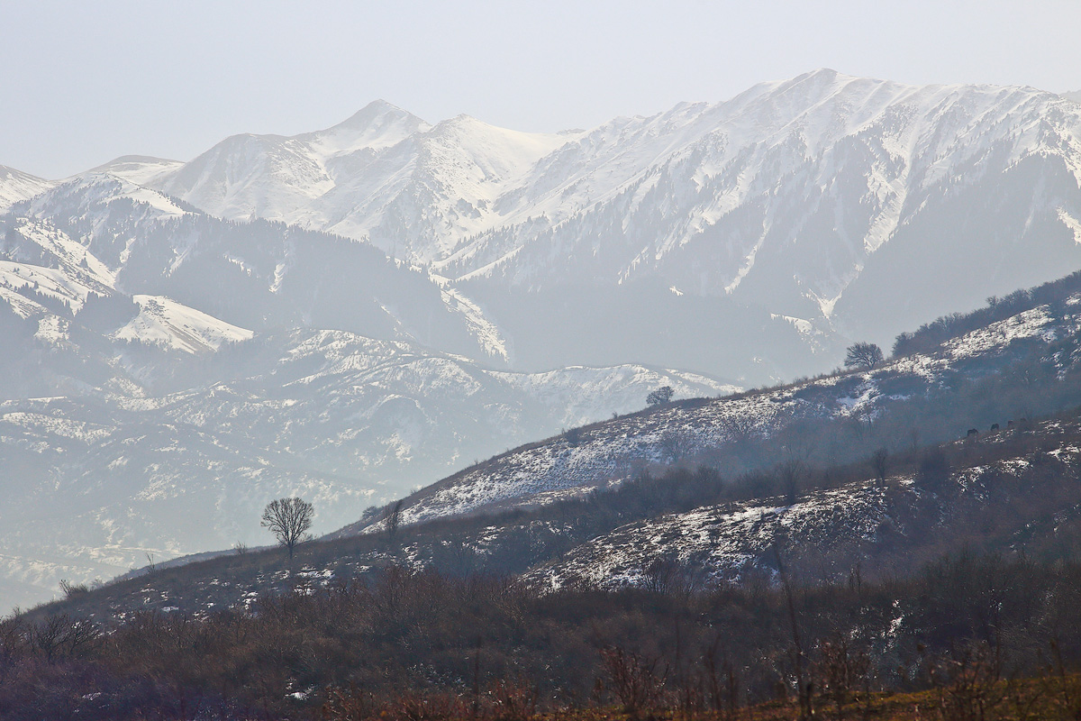 Манящая даль