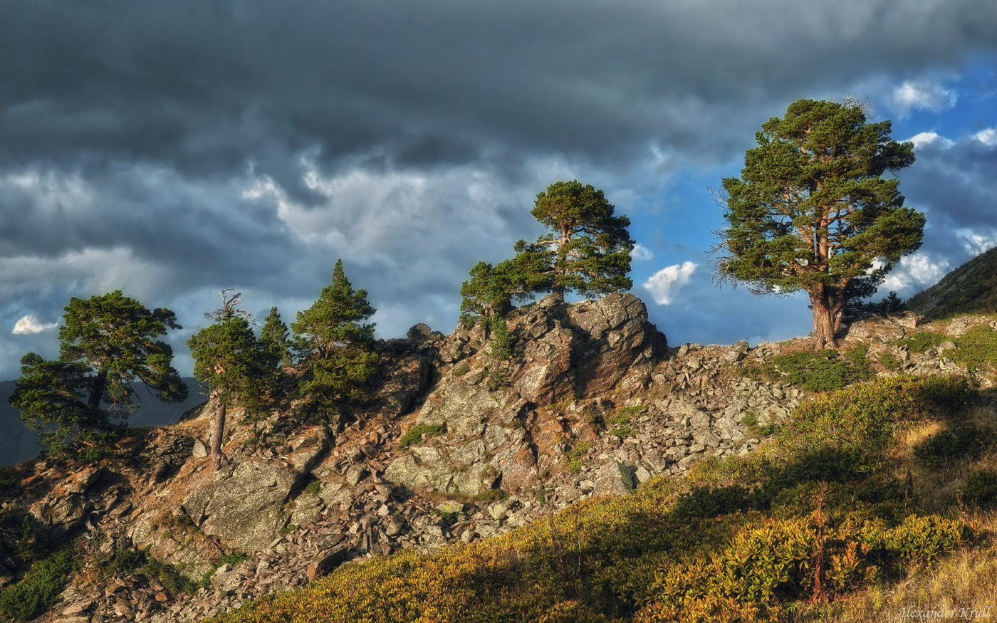 На скалистой грядке...