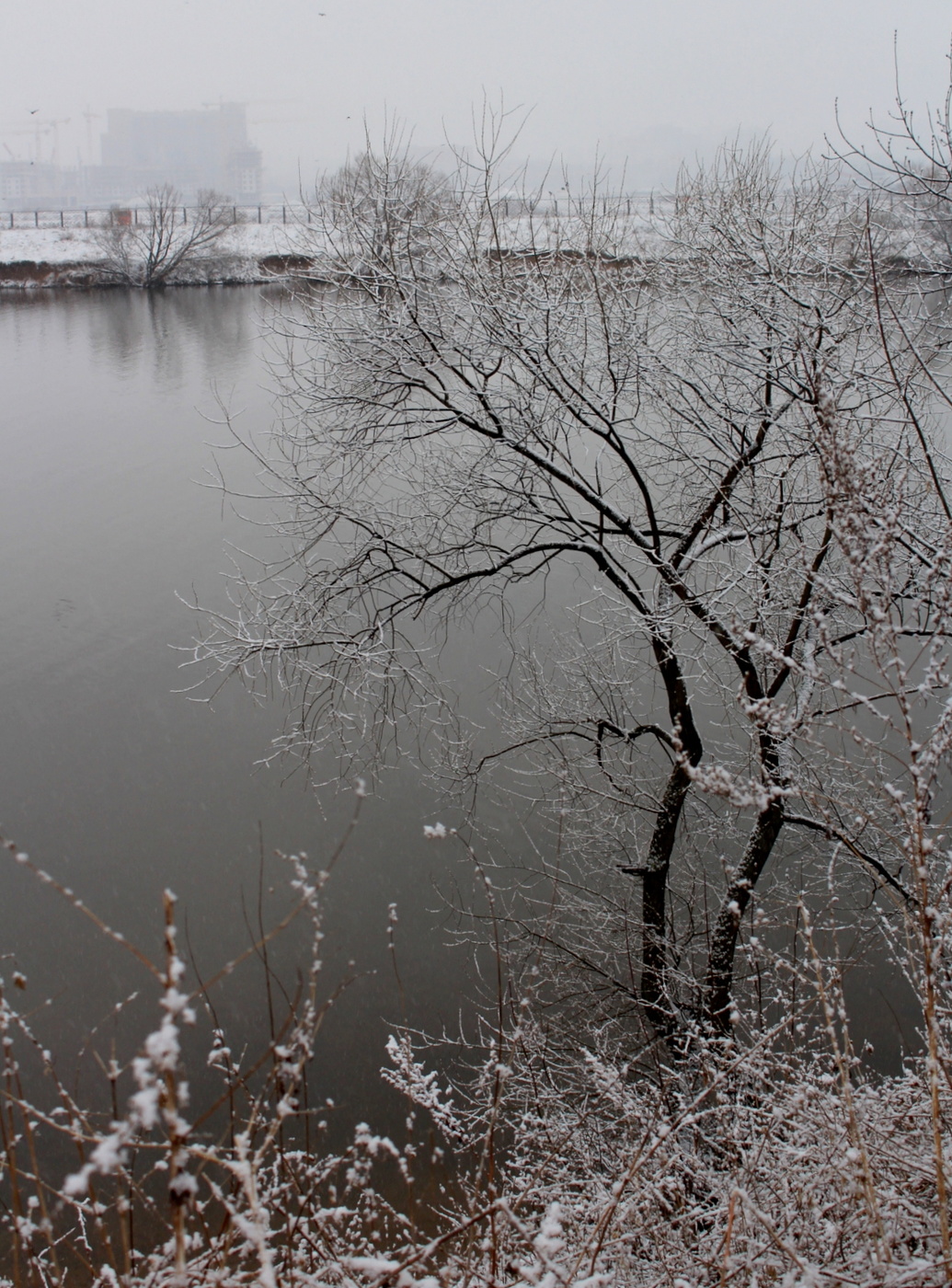 Весенний этюд