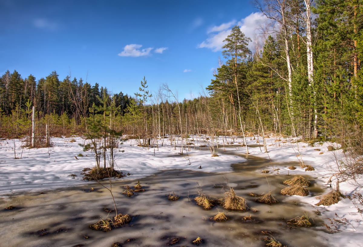 Апрель, Топь.