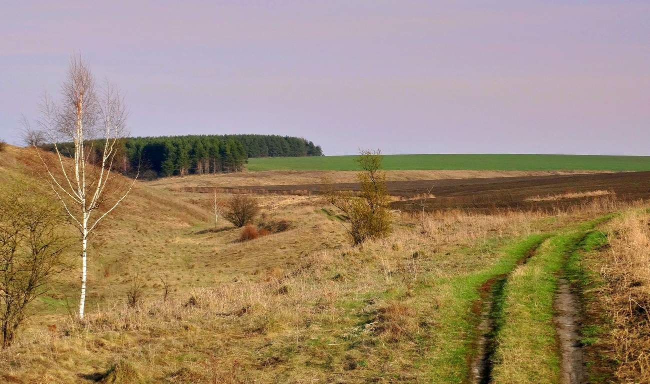 Апрельские дали