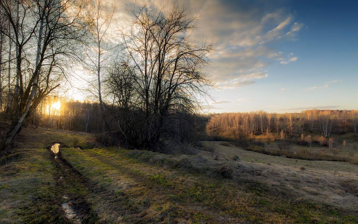 Весенними дорогами
