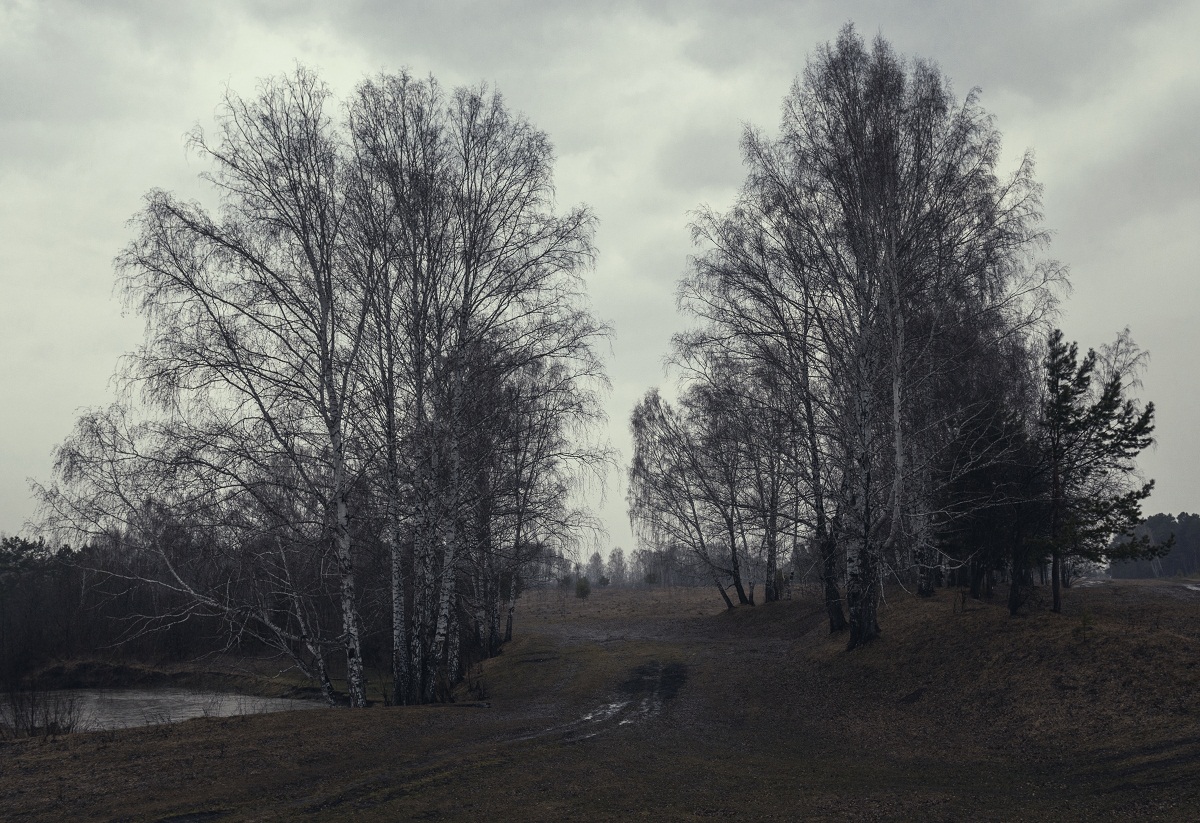 Про всену.(2)