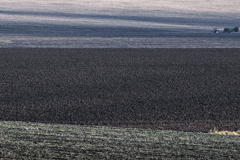 Перспективная пятница