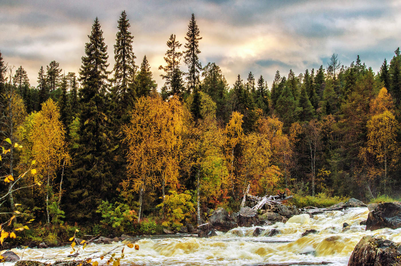 Зачарованная.