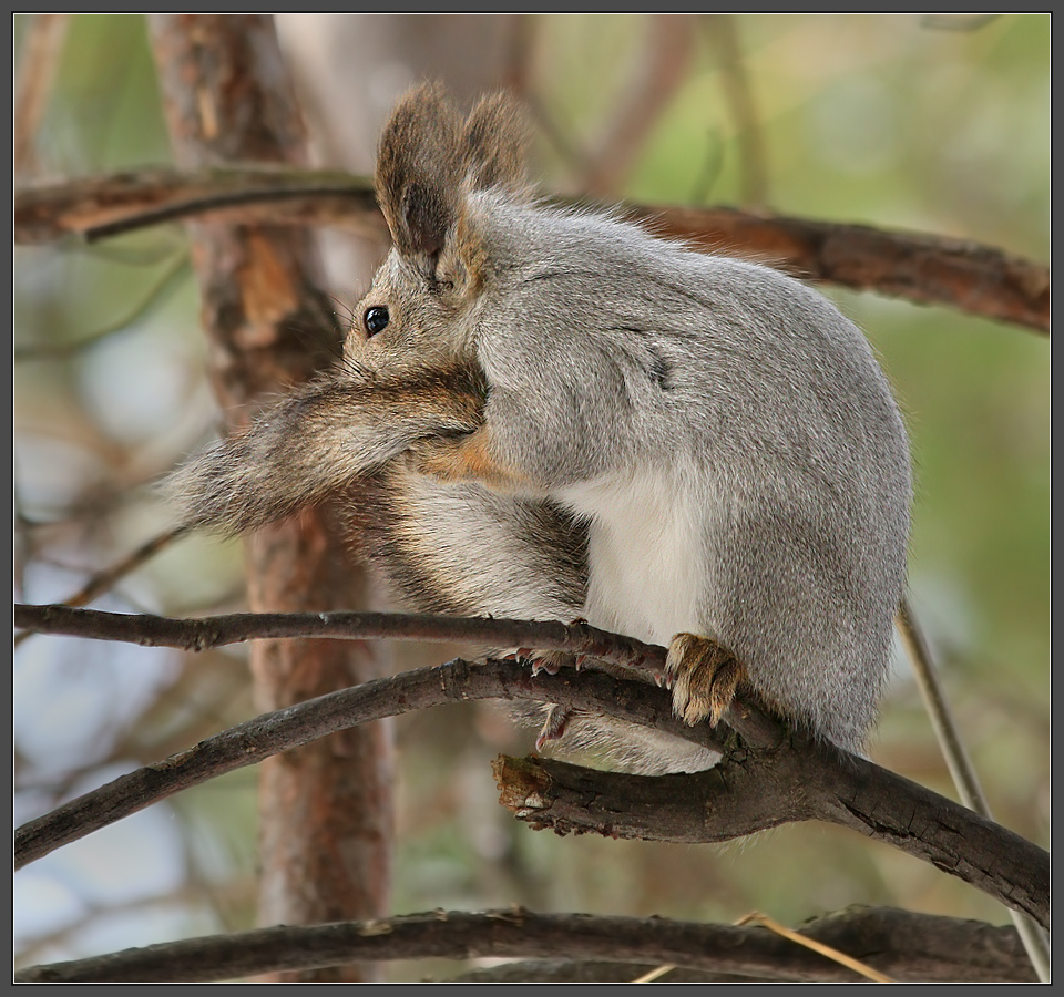 Дама с полотенцем