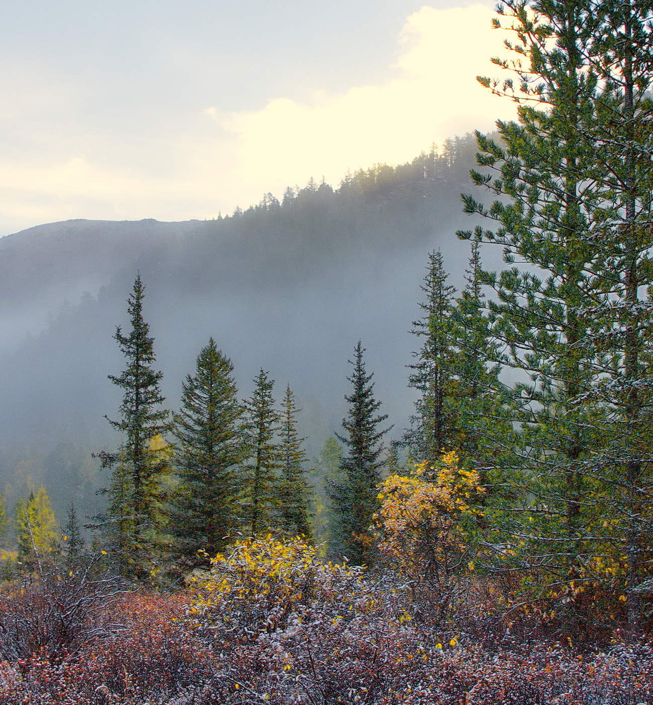 *УТРО В ГОРАХ**