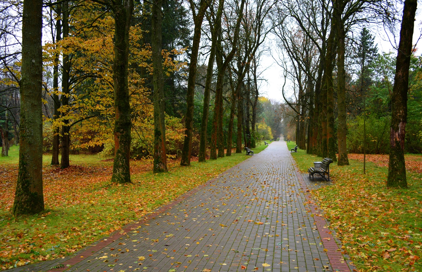 Осенняя даль