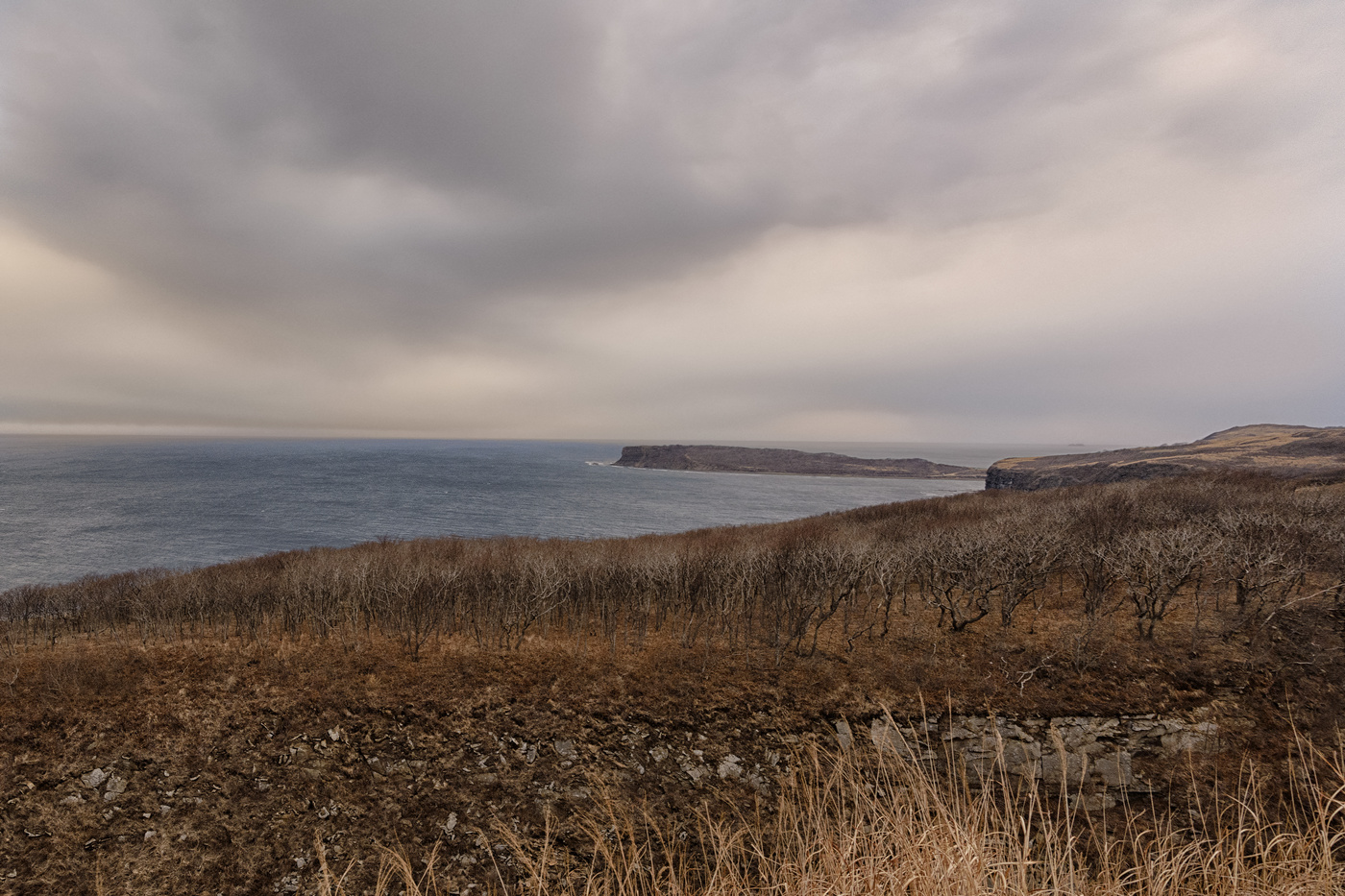 на острове Русский