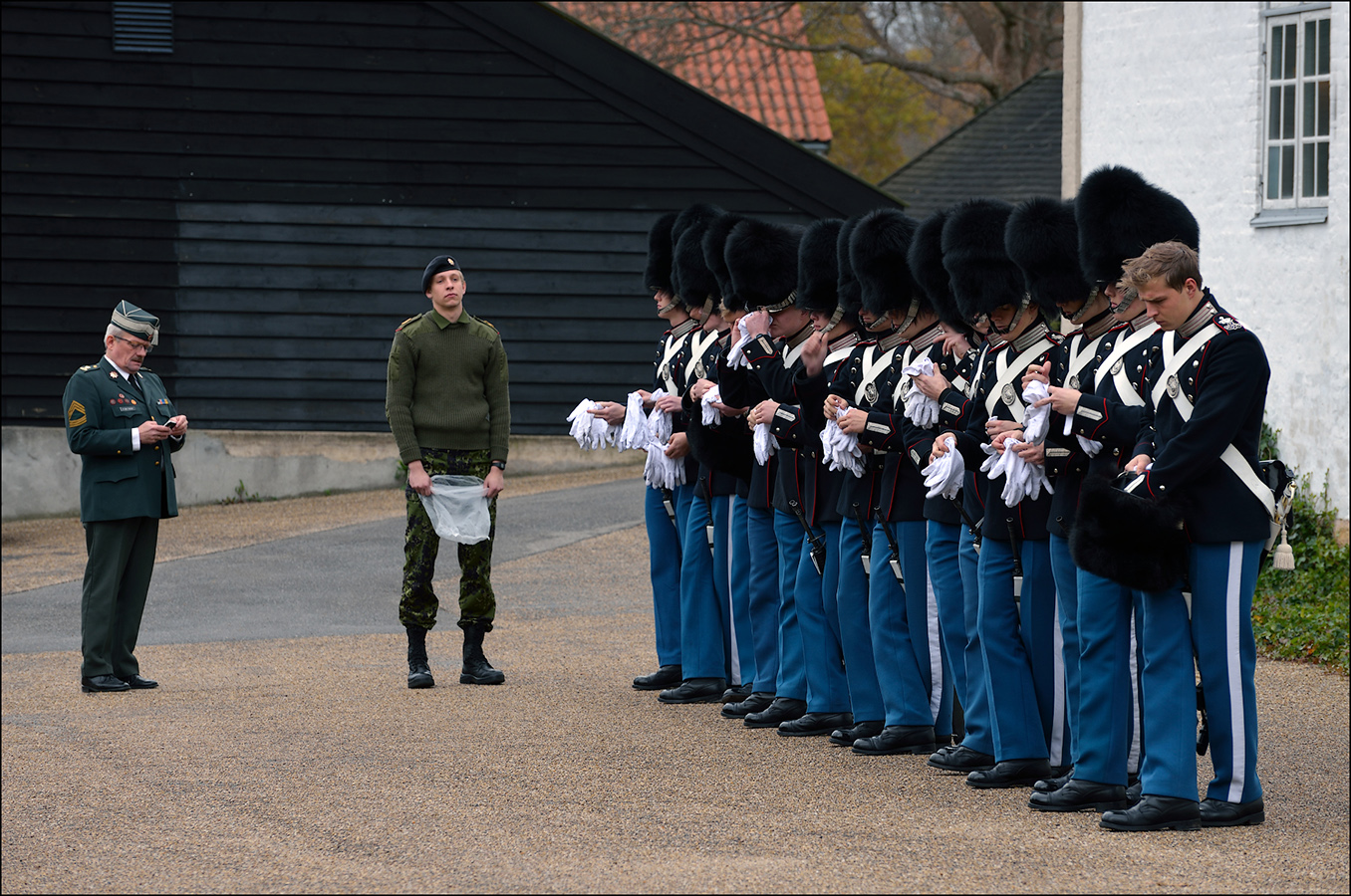Будни королевской гвардии