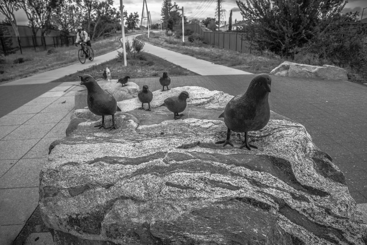 Загадочная развилка