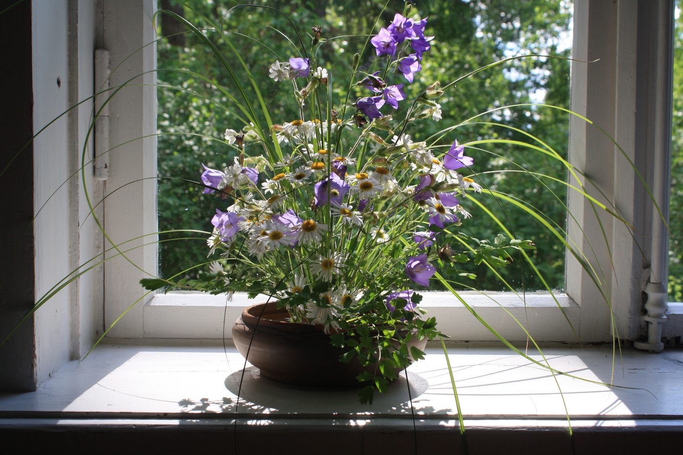 скромно о лете