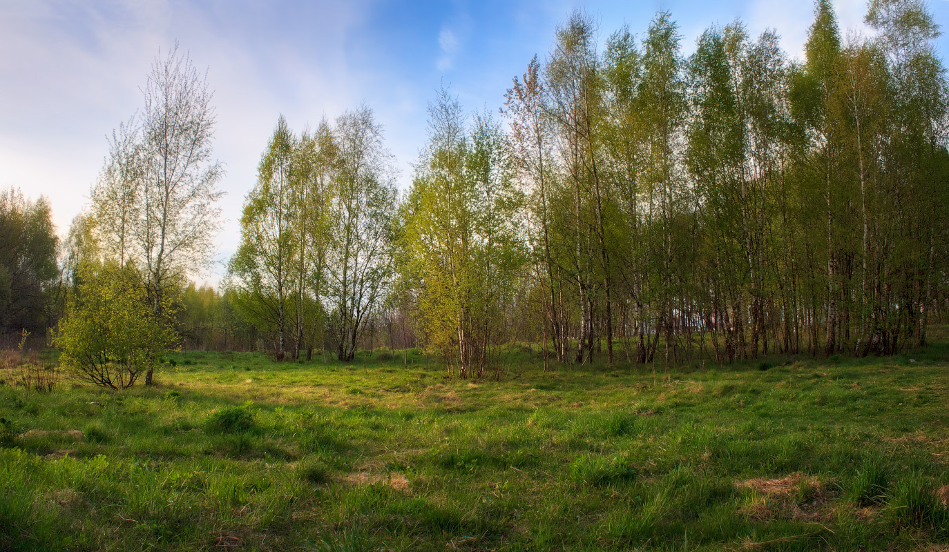 Весеннее настроение