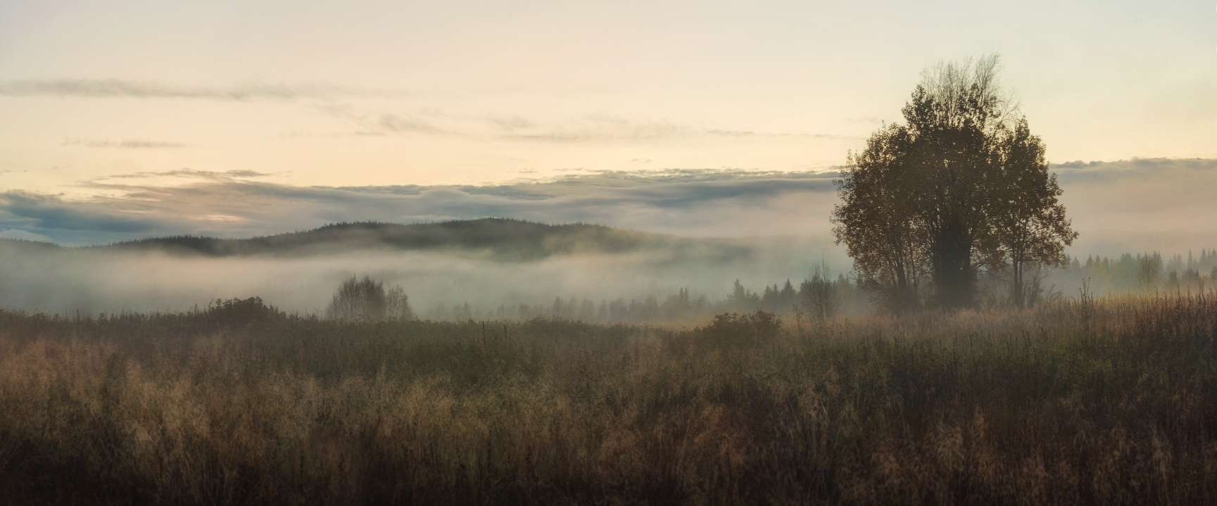 Сумерки Вартиолампи