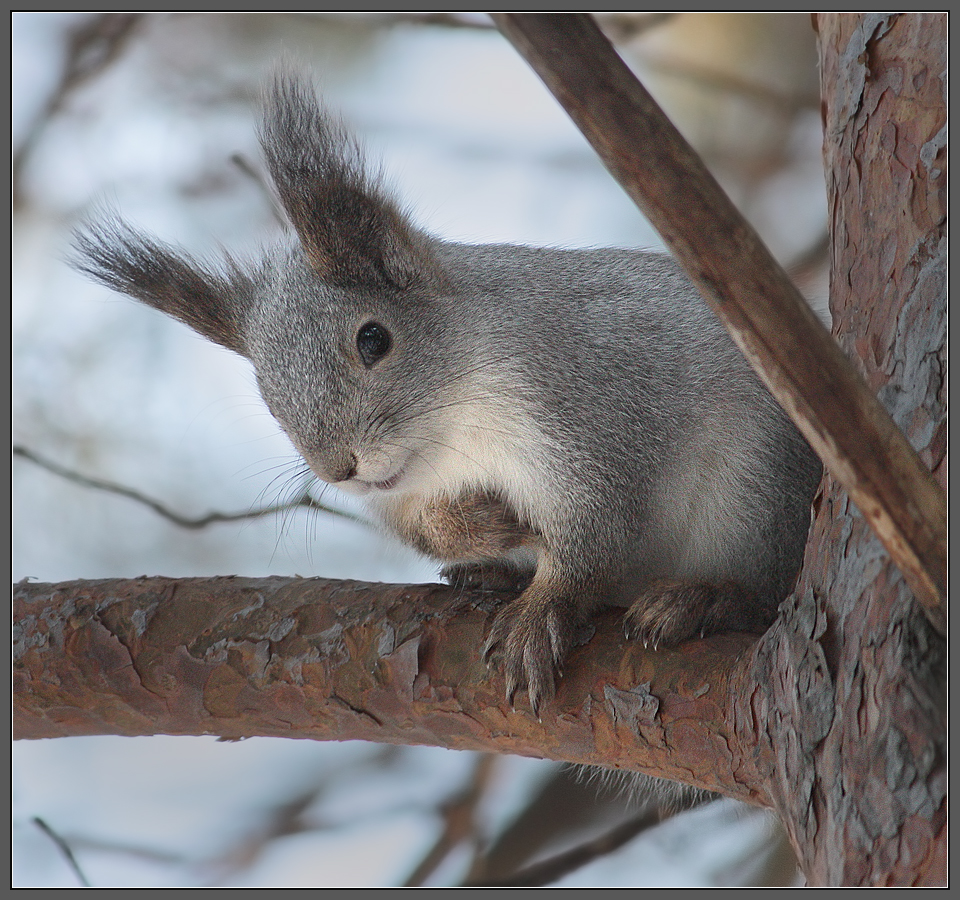 Клянусь, что приду раньше чёртиков!