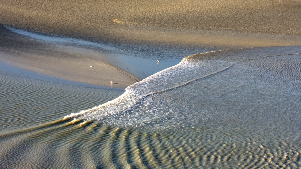 Приход большой воды