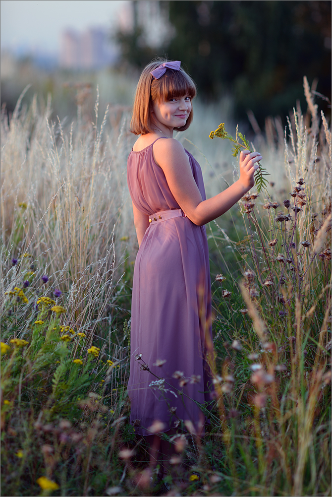 Полевые цветы