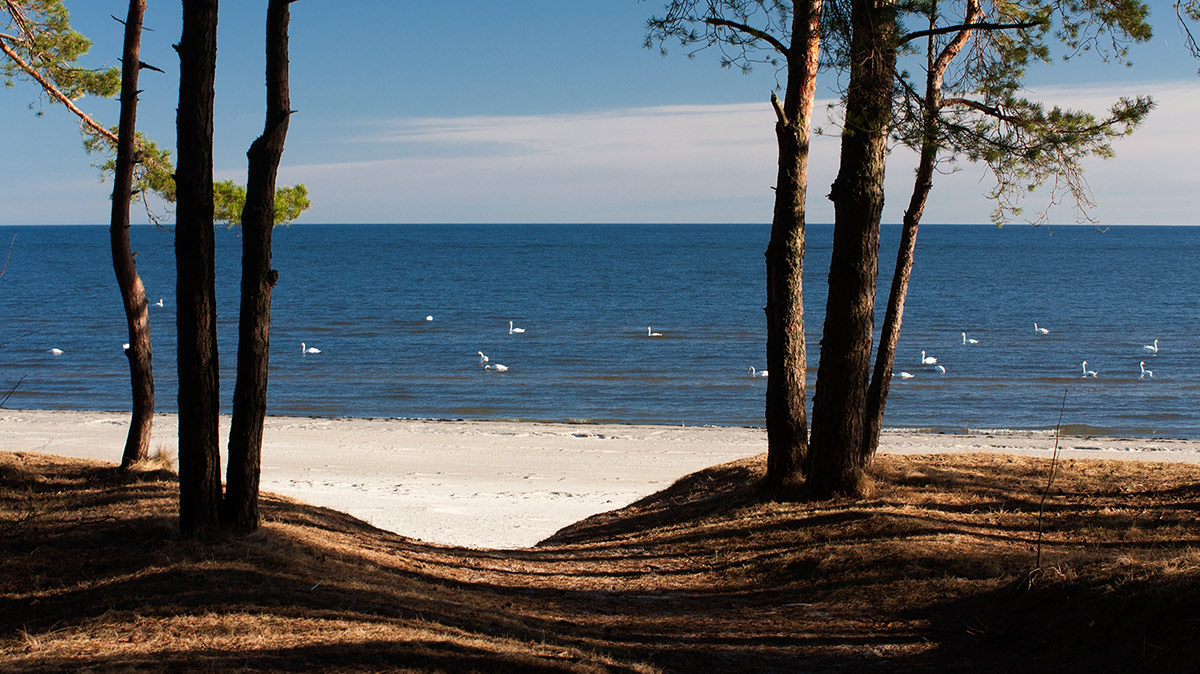 Майские свадьбы