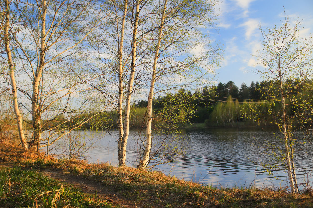 Весенняя прозрачность