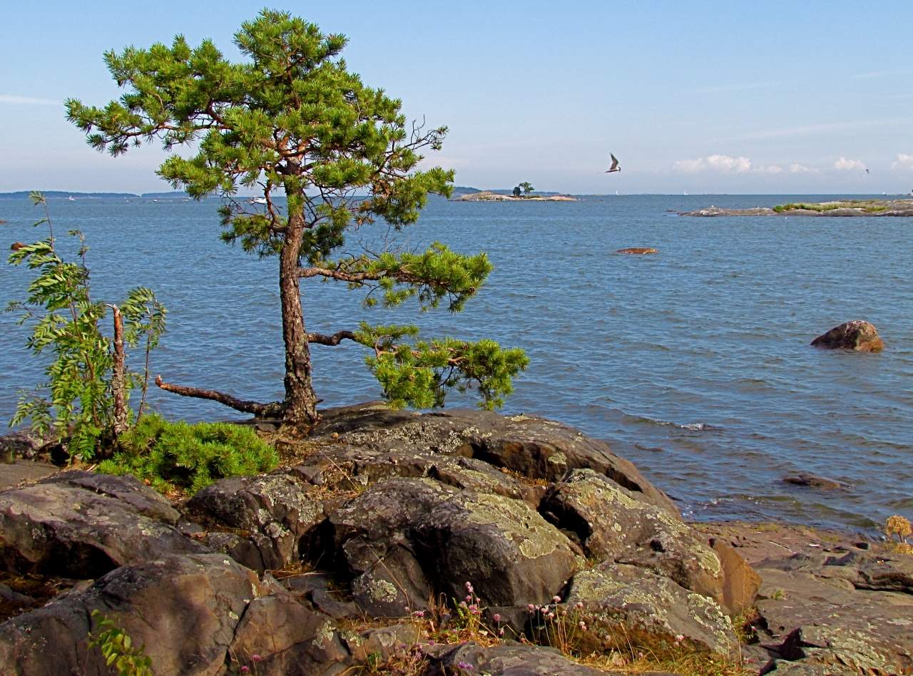 На скалистом острове