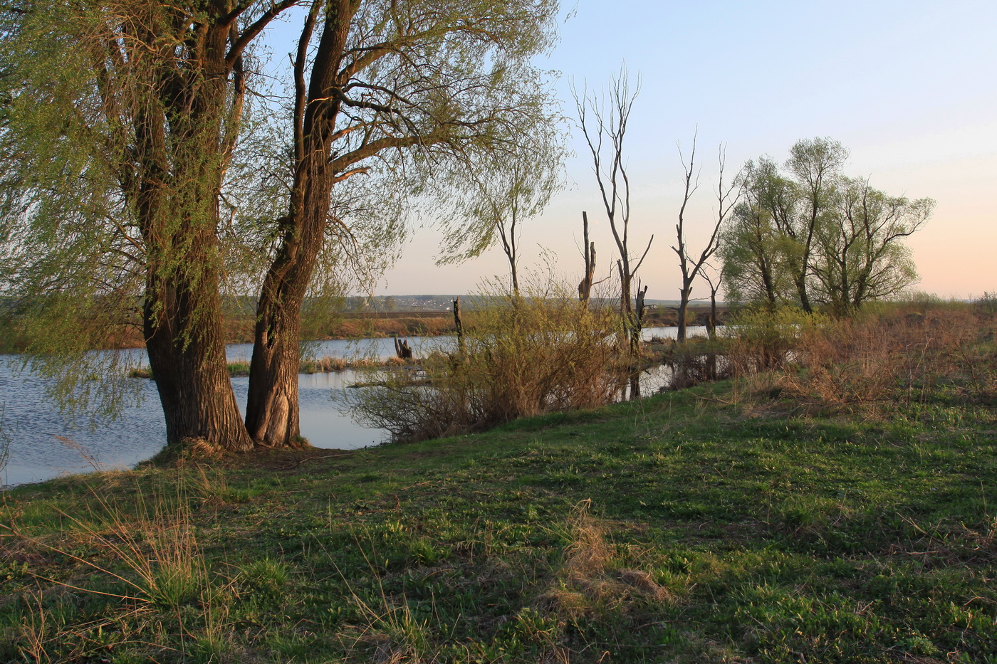 весенний пейзаж