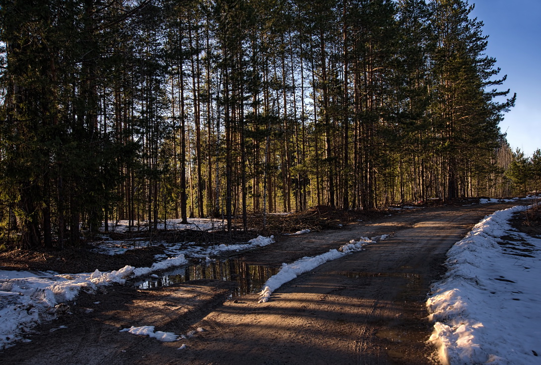 Освещенные солнцем