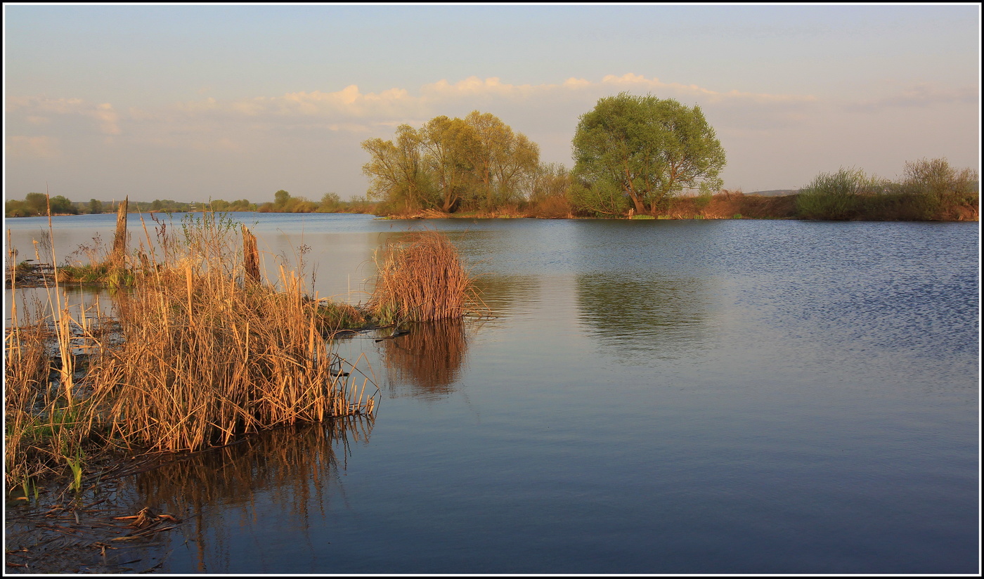весенней прохладой