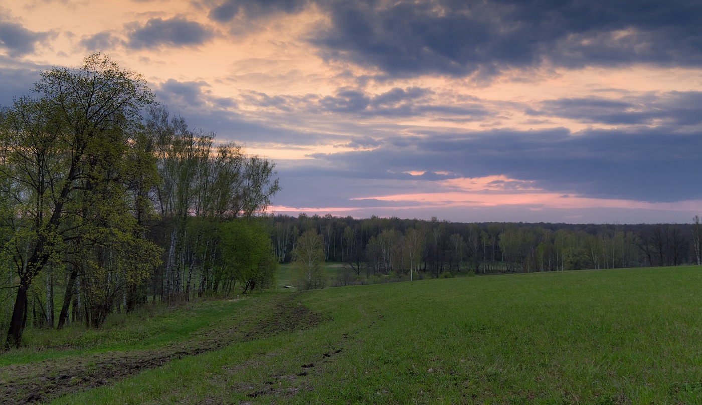 Под хмурым майским небом