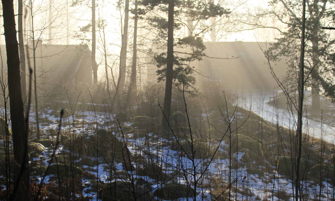 Теневая не экономика