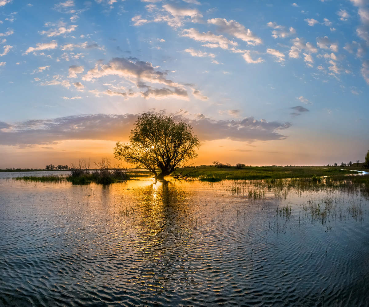 Начало половодья в нижнем Поволжье
