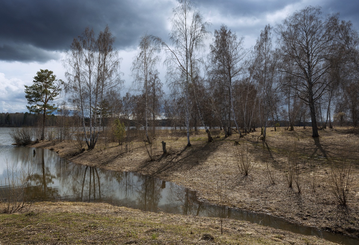 В весеннем свете теней.