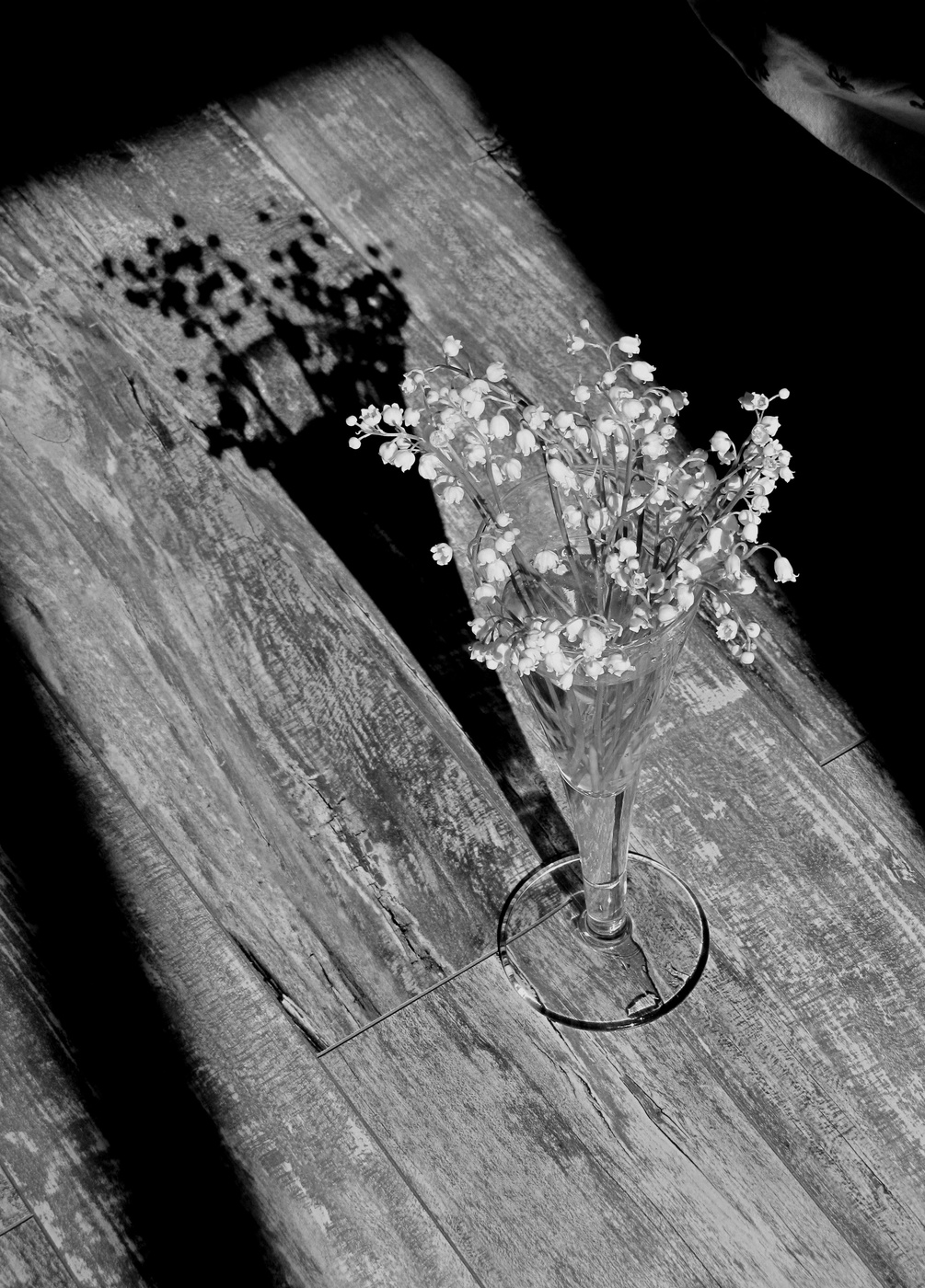 Теневая не экономика